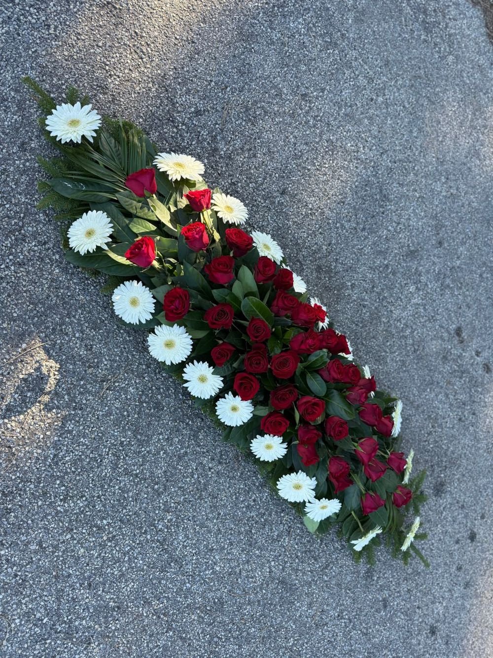 N-SS22 Suza za sanduk od belih gerbera i krem hrizantema