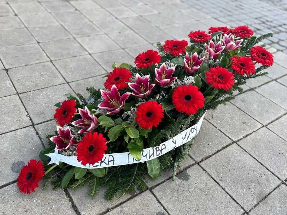 N-OS07 Suza od crvenih gerbera i trake