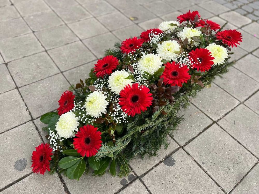 N-OS08 Suza od crvenih gerbera i zelenila četinara