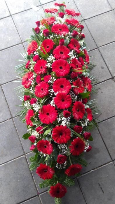 N-SS05 Suza za sanduk od crvenih gerbera