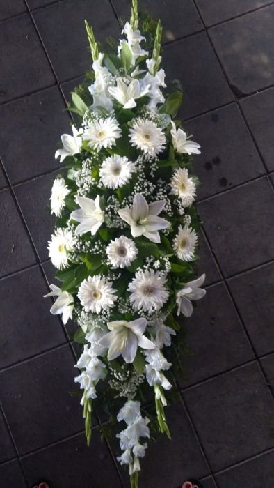 N-SS37 Suza za sanduk od belih gerbera i ljiljana