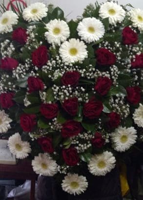 N-V61 Venac od crvenih ruža, belih gerbera i gipsofile