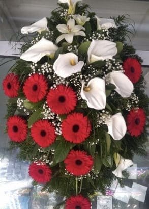 N-V92 Venac od crvenih gerbera, belih kala i zelenila četinara